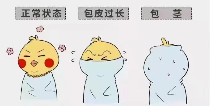 齐齐哈尔包皮包茎完美体育·(中国)官方网站